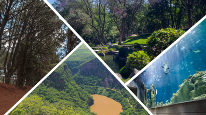 5 lugares para visitar en Guadalajara que te conectan con la naturaleza