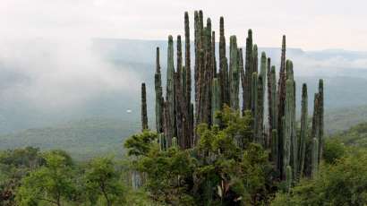 Realiza un recorrido virtual por 5 reservas naturales de México