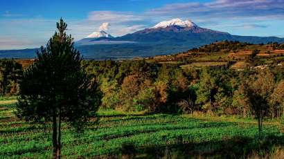 Las cuatro montañas de México con mayor megadiversidad en el país.
