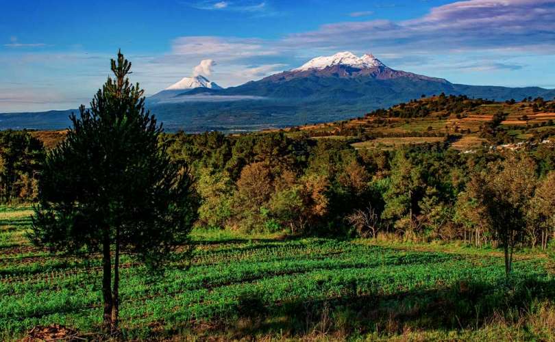 Las cuatro montañas de México con mayor megadiversidad en el país.