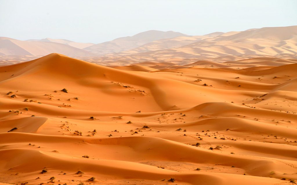 ¿Qué es el polvo del Sahara?