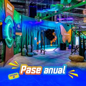 Pase anual