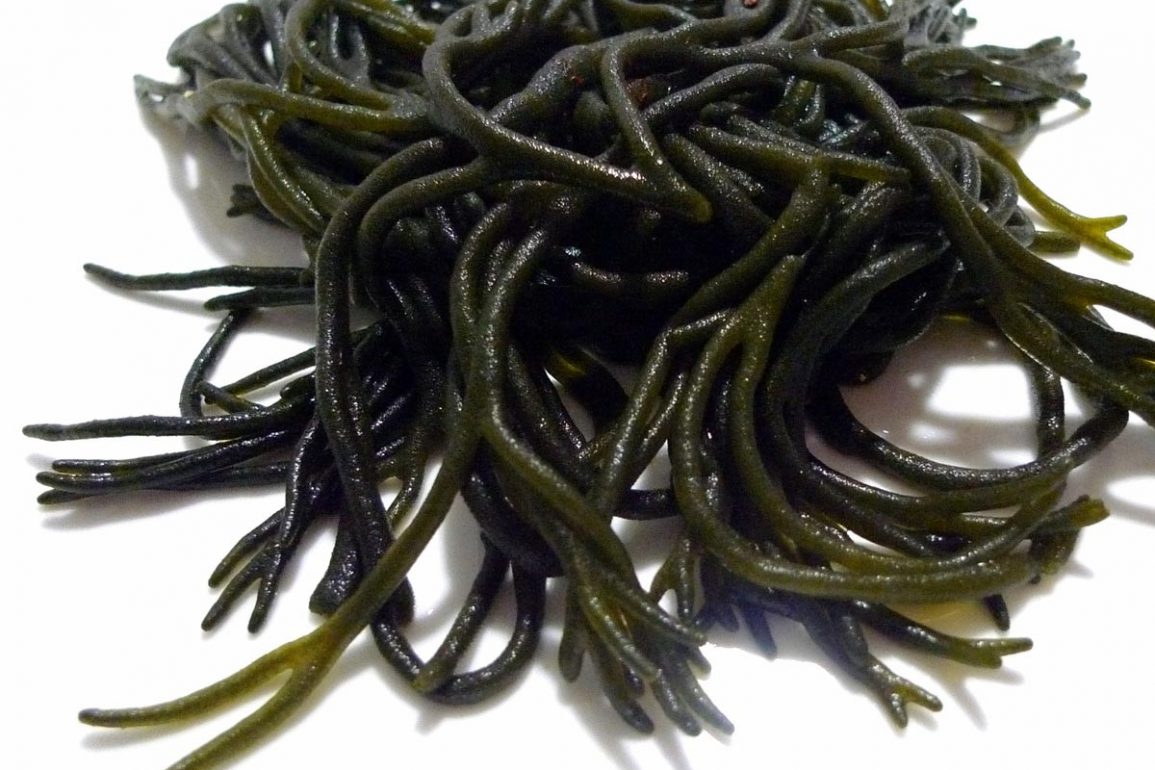 Ramallo de Mar o Codium Tomentosum, alga con sabor a percebe