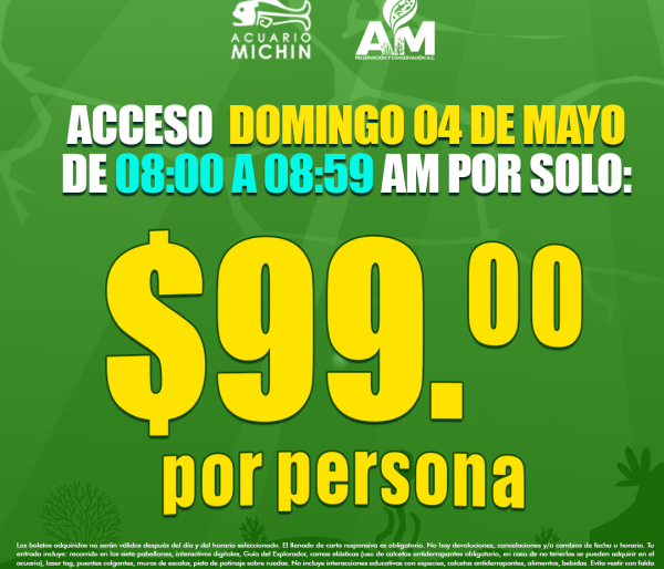 Acceso Total 08:00 - 08:59 am 04 de Mayo