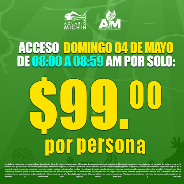 Acceso Total 08:00 - 08:59 am 04 de Mayo