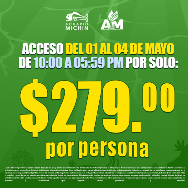 Acceso Total del 01 AL 04 DE MAYO 10:00 - 05:59 pm Puebla