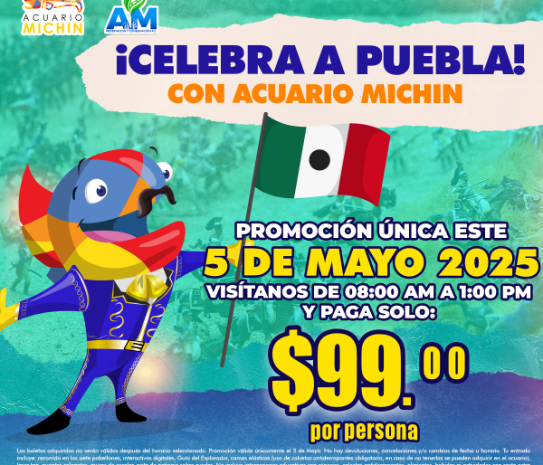 Acceso Total 08:00 - 01:00 pm 05 de mayo
