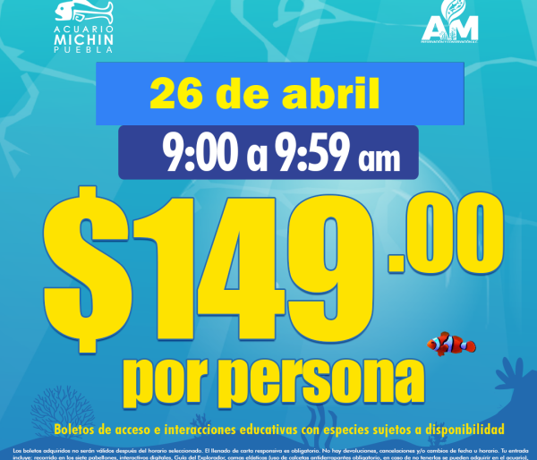 Acceso Total 09:00 - 09:59 am 26 de abril