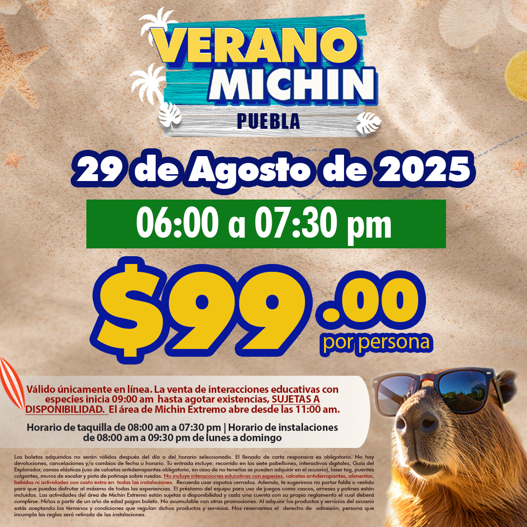 Acceso Total 06:00 – 07:30 pm 29 de agosto 2025 puebla