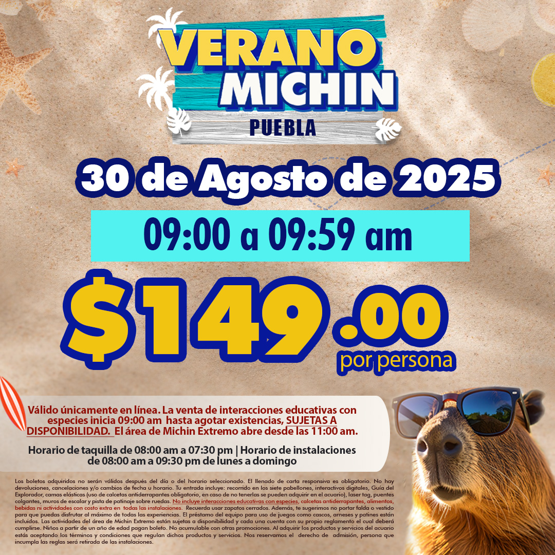 Acceso Total Puebla 09:00 – 09:59 am 30 de agosto de 2025 puebla
