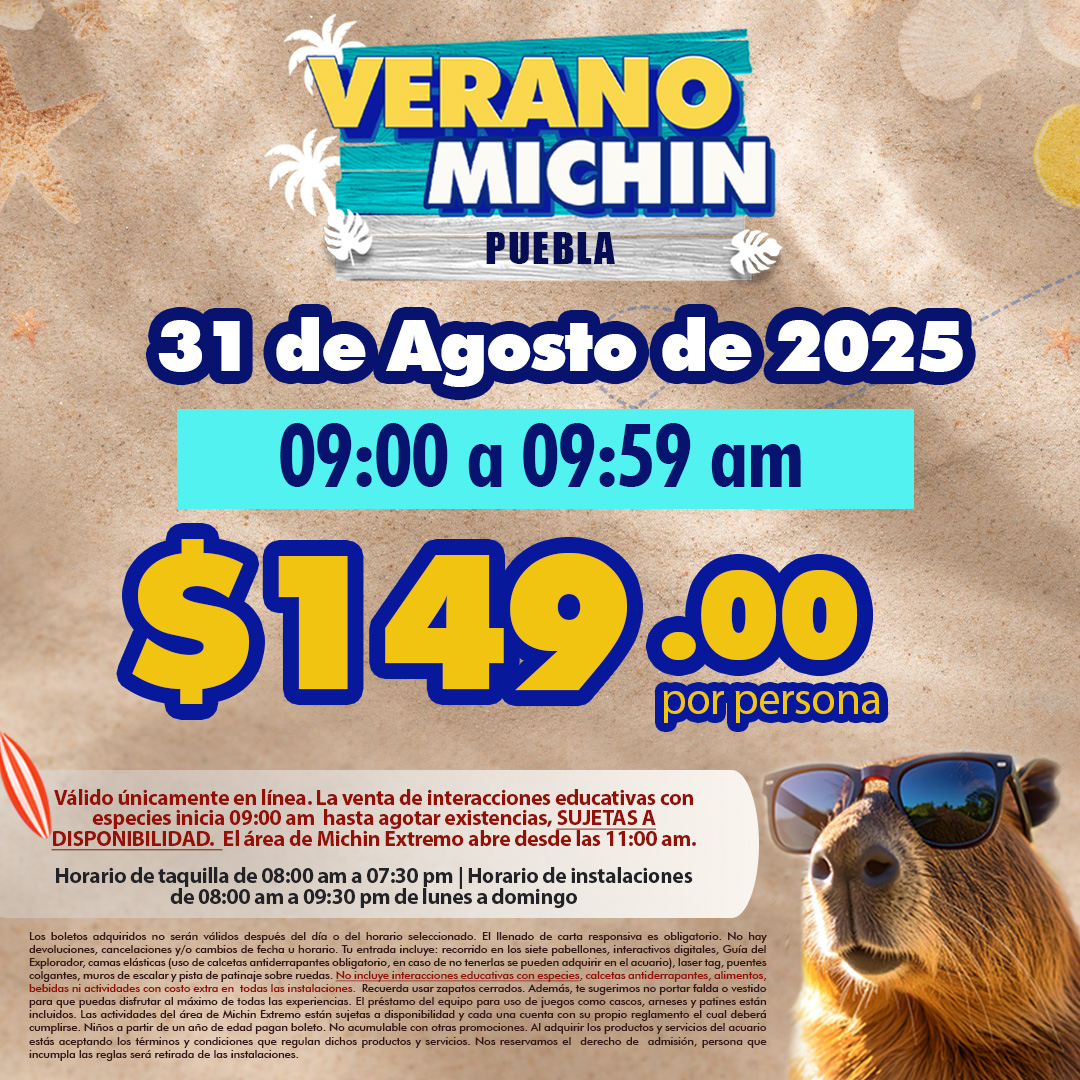 Acceso Total Puebla 09:00 – 09:59 am 31 de agosto de 2025 puebla