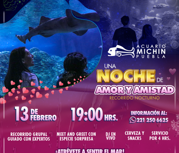 Recorrido nocturno: Una noche de amor y amistad