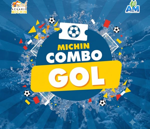 Michin Gol